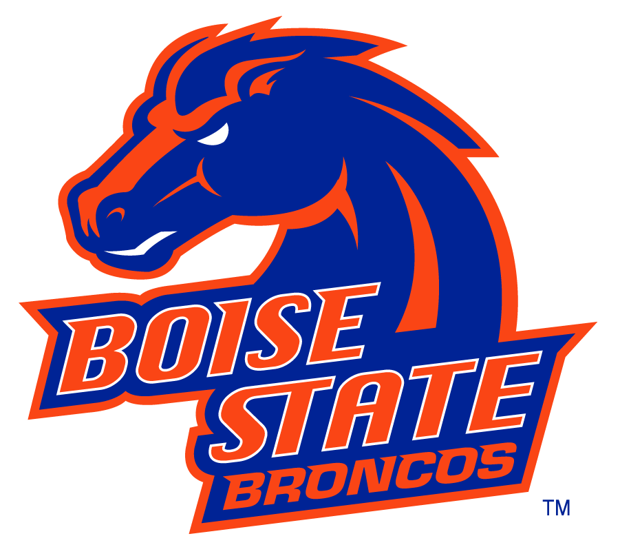 Boise State Broncos 2002-2012 Secondary Logo v24 iron on transfers for clothing